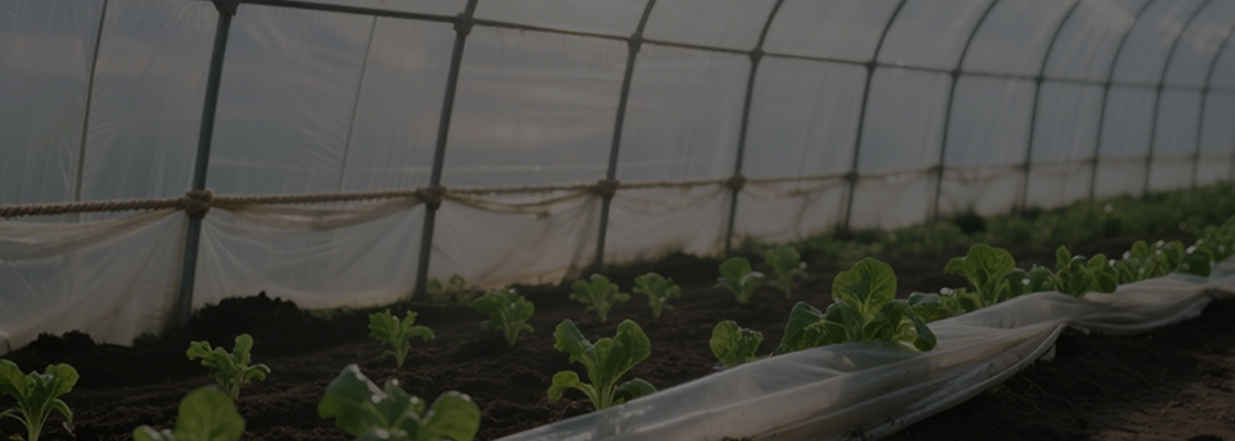 প্রতিদিন ব্যবহার করা রাসায়নিক